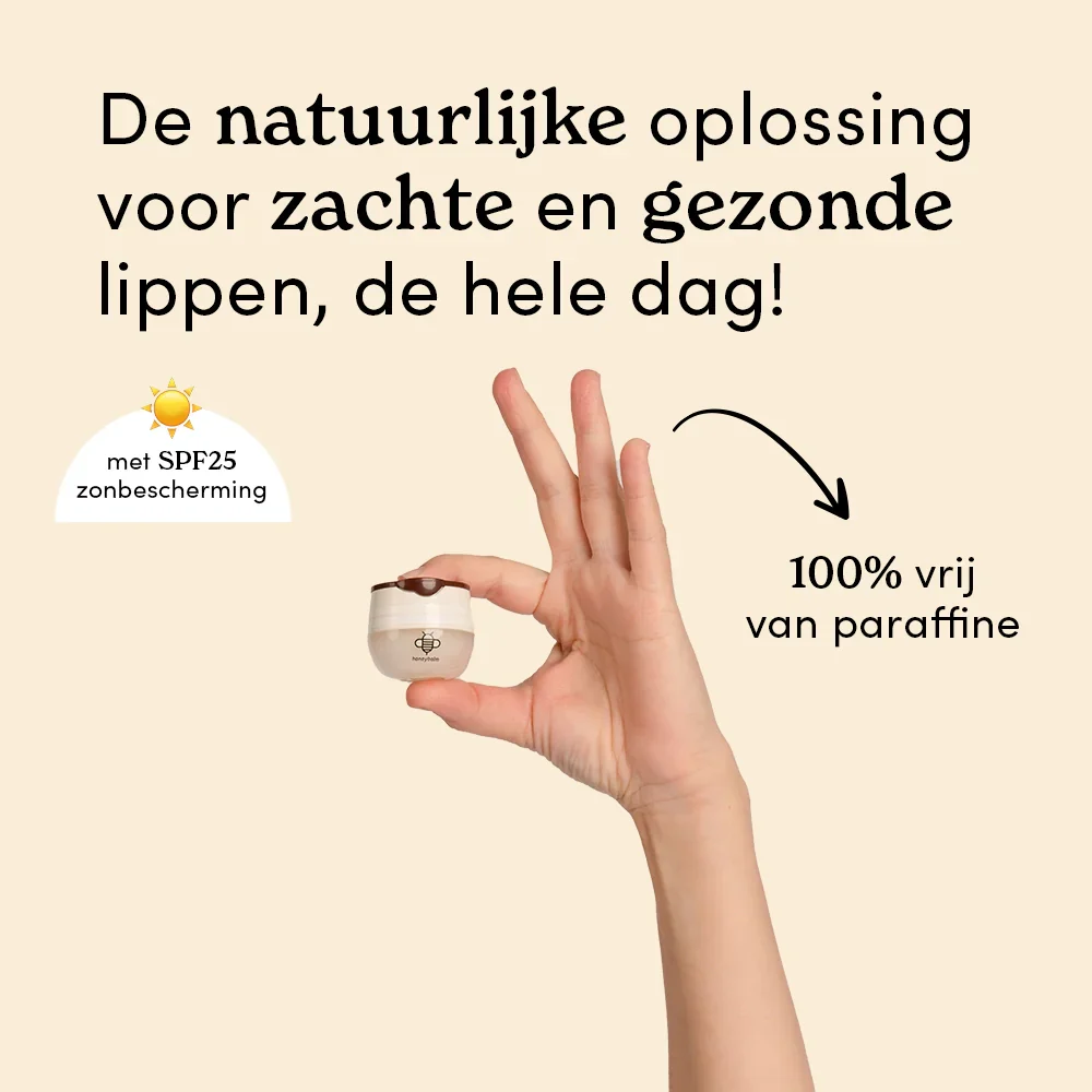 Miniatuur 2