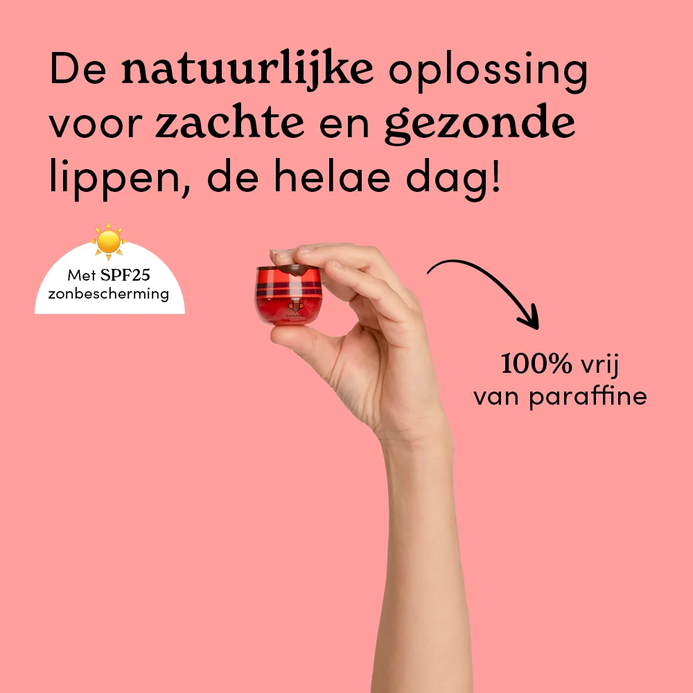 Miniatuur 2